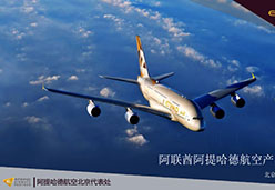 2017北京站EY航空课件