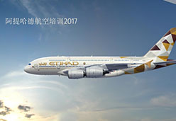 2017武汉站EY航空课件