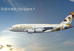2017上海站EY航空课件