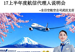 2017武汉站NH航空课件